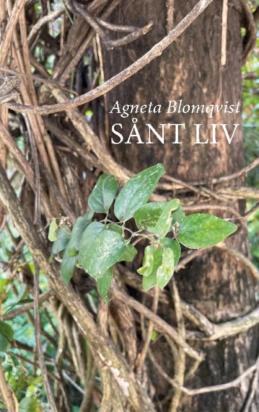 Agneta Blomqvist : Sånt liv