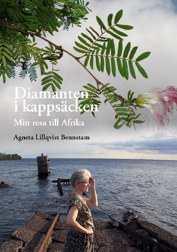 Agneta Lillqvist Bennstam : Diamanten i kappsäcken : min resa till Afrika