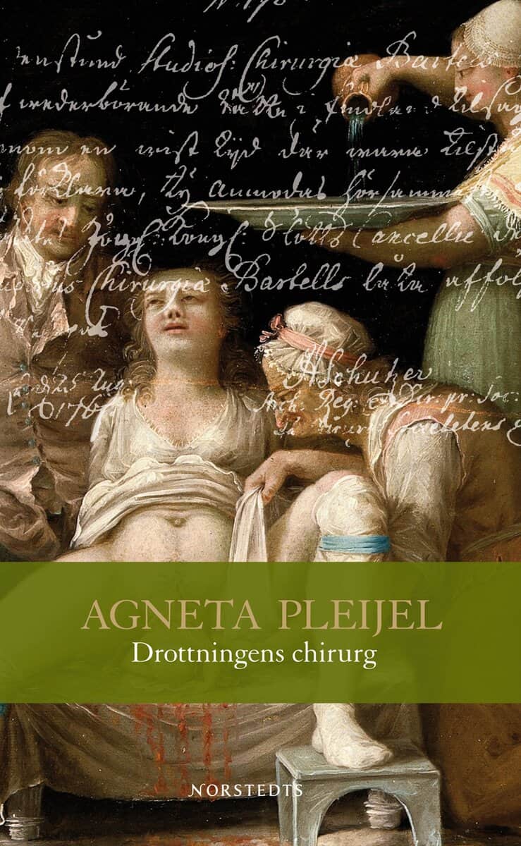 Agneta Pleijel : Drottningens chirurg