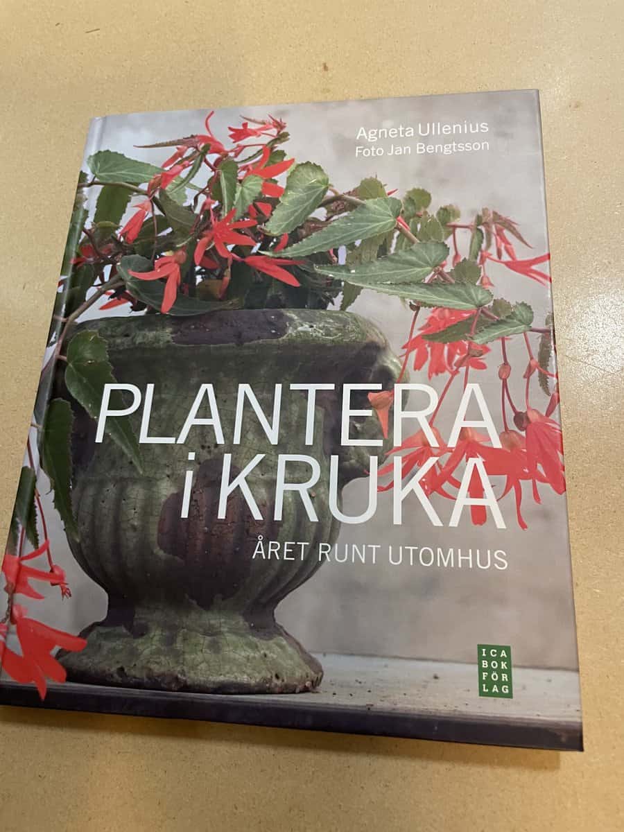 Agneta Ullenius : Plantera i kruka [året runt utomhus]