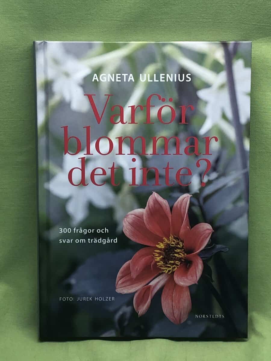 Agneta Ullenius : Varför blommar det inte?