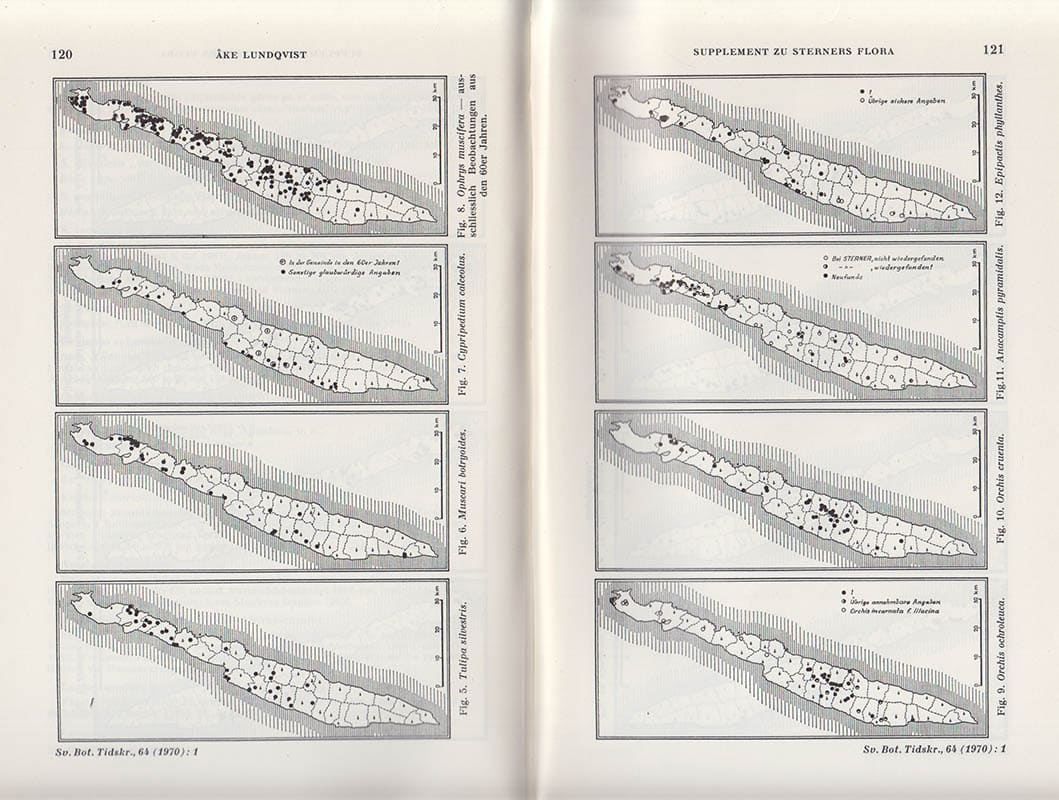 Åke Lundqvist : Supplement zu Sterners Flora der Insel Öland