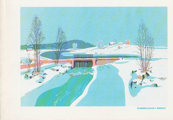 Åke Pettersson-Nåw : Åke Pettersson-Nåw en Presentation (två tryck)