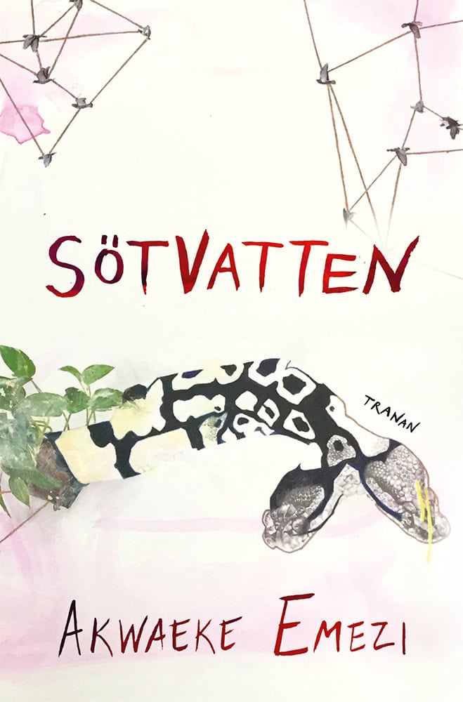 Akwaeke Emezi : Sötvatten