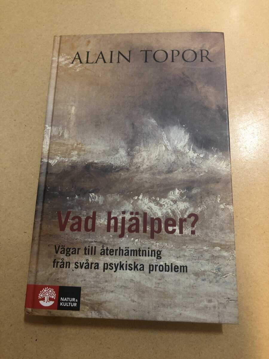 Alain Topor : Vad hjälper? vägar till återhämtning från svåra psykiska problem