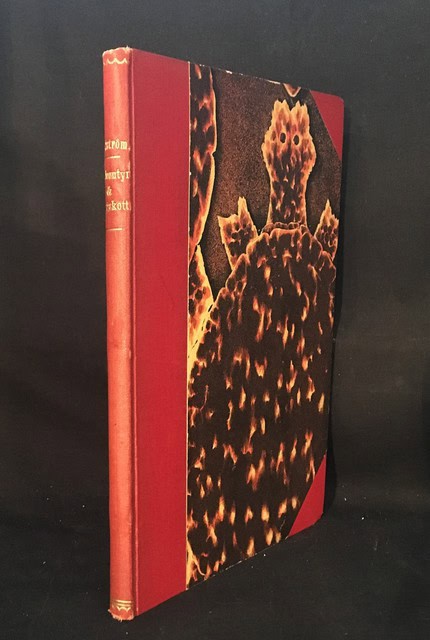 Albert Engström : Äfventyr och hugskott