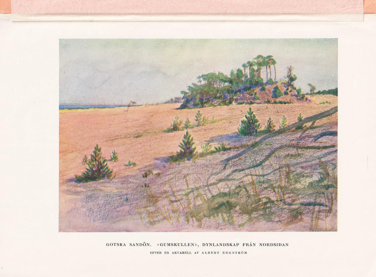 Albert Engström : Gotska Sandön. Föredrag vid svenska naturskyddsföreningens årsmöte den 29 mars 1923. Med teckningar av författaren