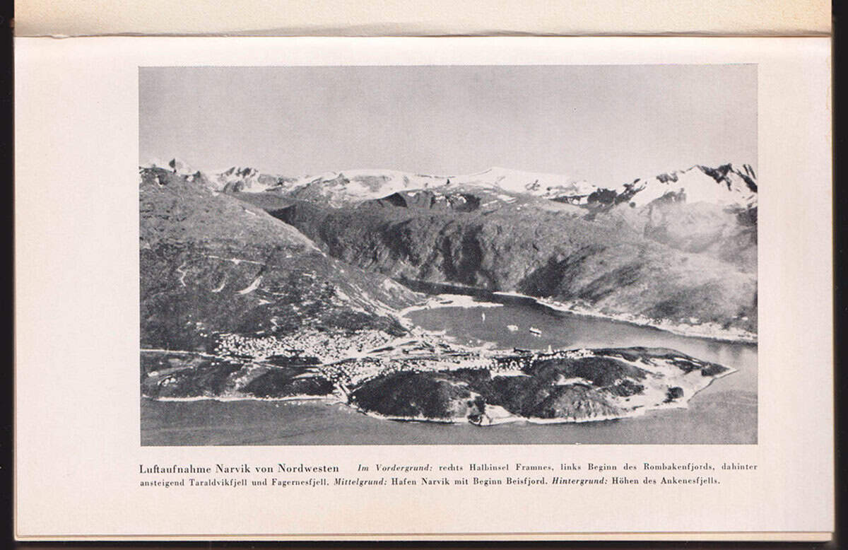 Alex Buchner : Narvik