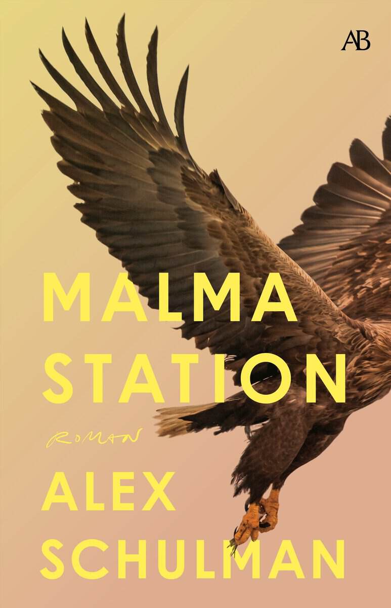 Alex Schulman : Malma station