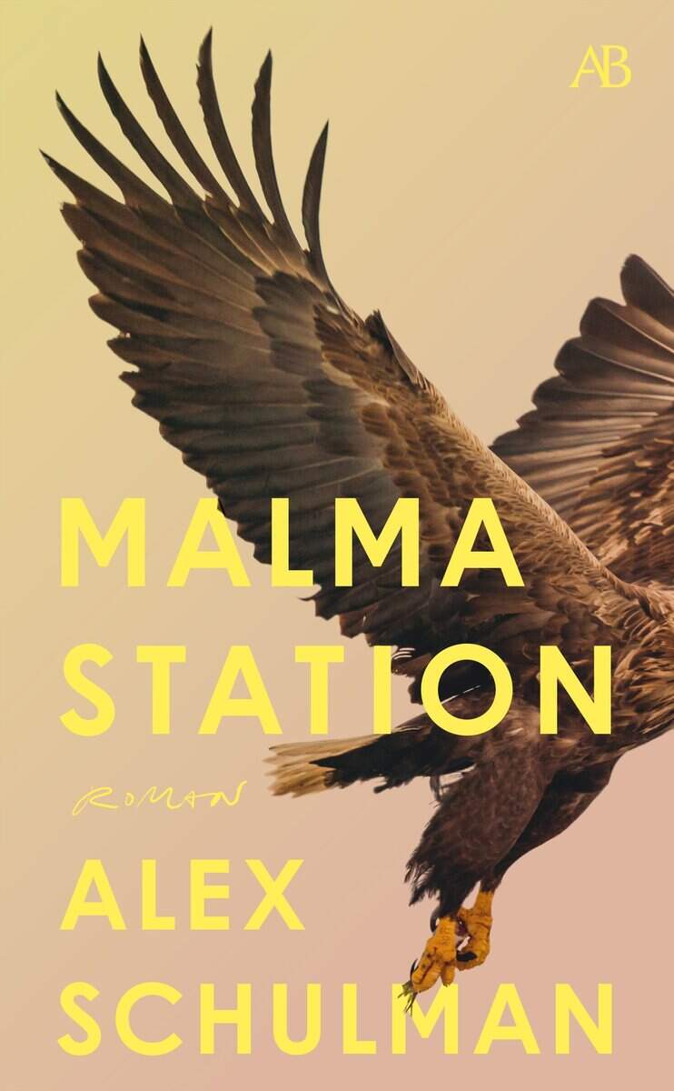 Alex Schulman : Malma station