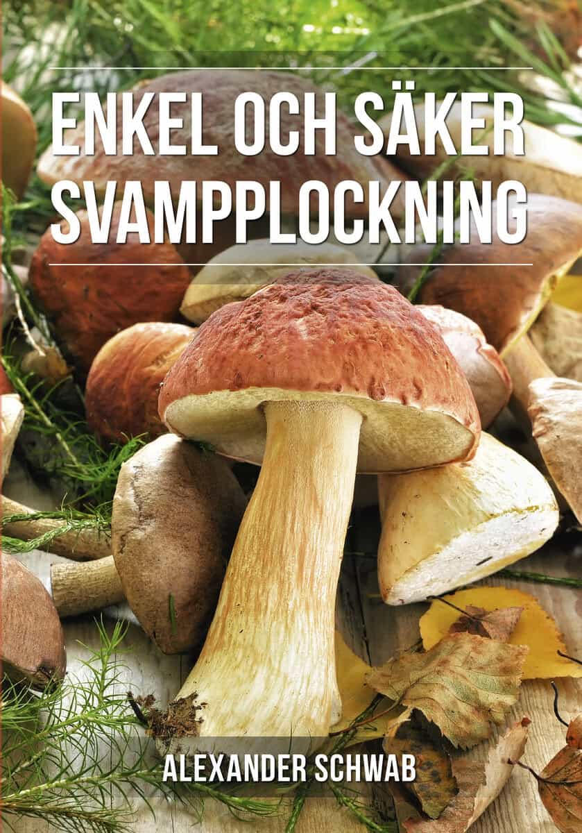 Alexander Schwab : Säker svampplockning : de vanligaste svamparna