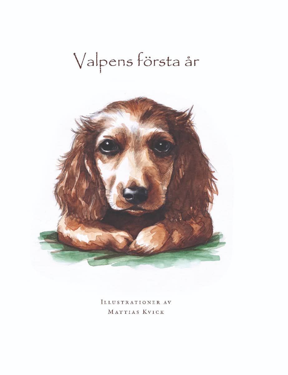 Alexandra Leonkrone : Valpens första år