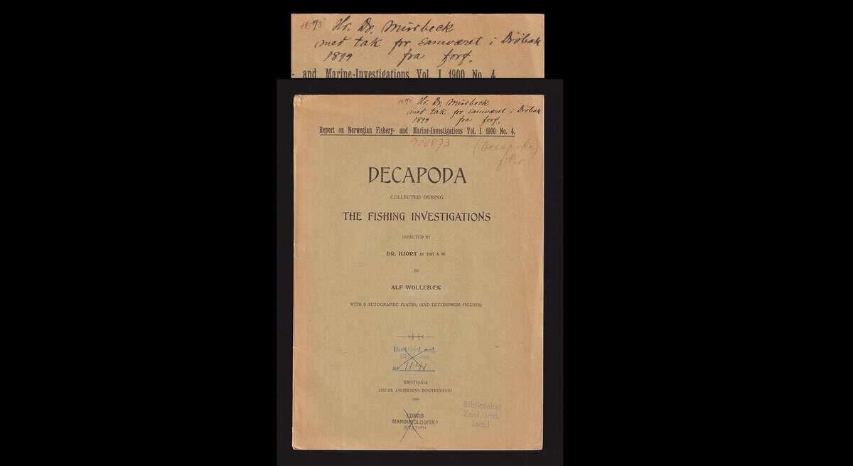 Alf Wollebæk : Decapoda. Collected during the fishing investigations directed by Dr. Hjort in 1897 & 98. With 2 (i denna 3 planscher) autographic plates, (and letterpress figures) (dedikation)