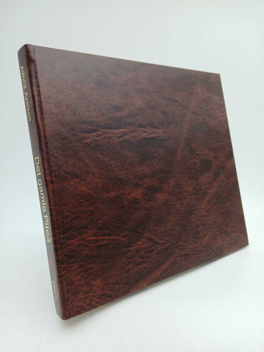 Alfhild Axelson : Det gamla Piteå