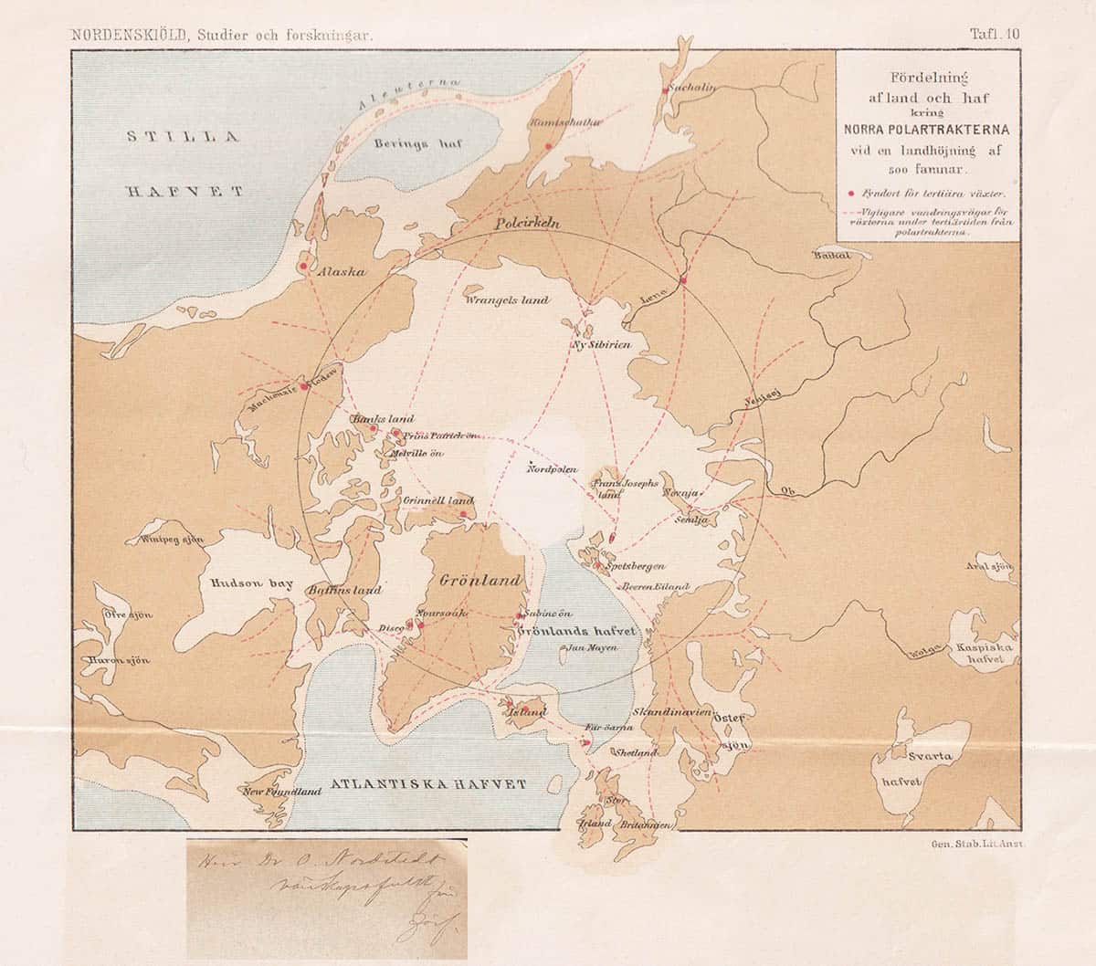 Alfred Gabriel Nathorst : Polarforskningens bidrag till forntidens växtgeografi (dedikation)