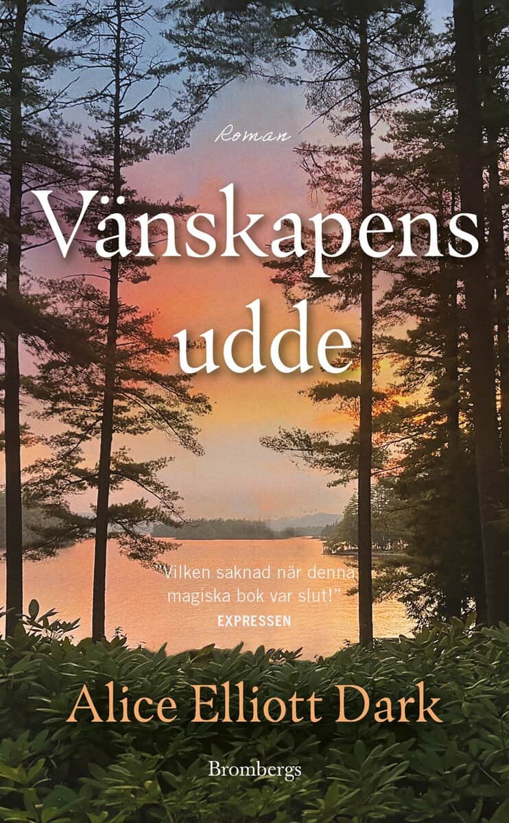Alice Elliott Dark : Vänskapens udde
