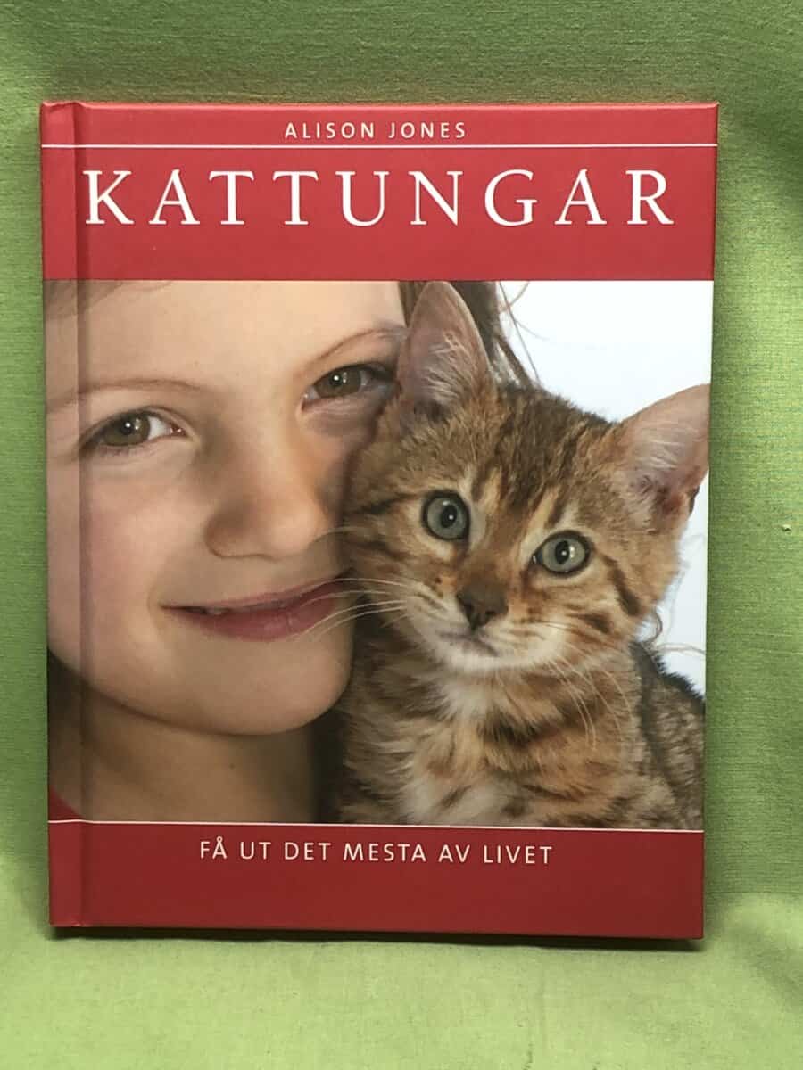 Alison Jones : Kattungar - få ut det mesta av livet