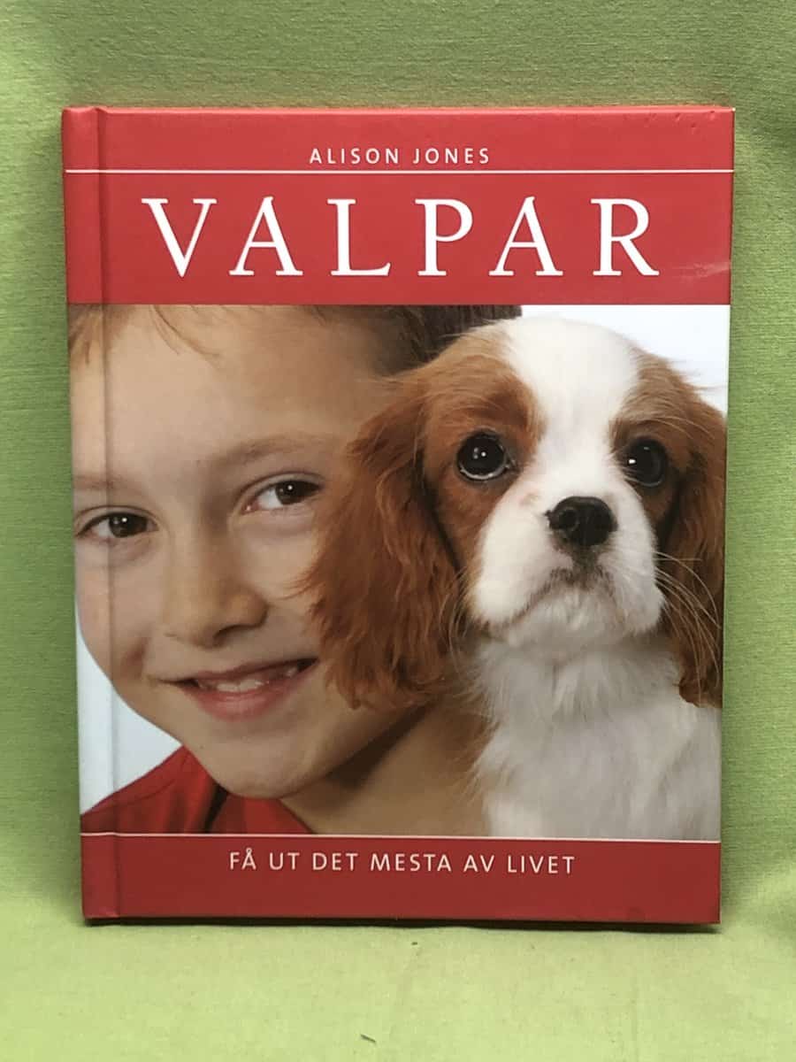 Alison Jones : Valpar - få ut det mesta av livet