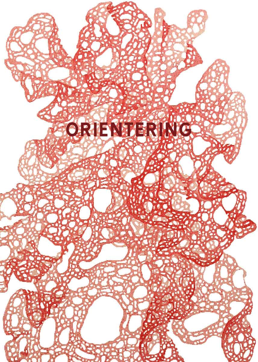 Alvarez, Emilia ; Boström, Arvid ; Carlsson, Hans ; Forss, Nino ; Gollbo, Nadja ; Haar, Frej ; Kristjansdottir, Li ; Larsson, Joel ; Lavonius, Jorunn ; Madsen, Nora ; Meyer, Elsa ; Mikkelsen, Nanna ; Monasar, Mona ; Olsson, Hilma ; Quartey, Lisa ; Ringgren, Hillevi ; Tesfamikael, Kebron ; Wikberg, Jelena ; Östberg, David : Orientering.  Skurups skrivarlinje 2021