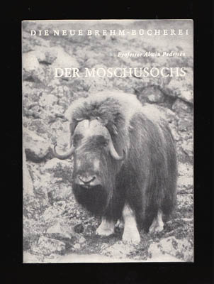 Alwin Pedersen : Der Moschusochs (Ovibos moschatus Zimmermann)
