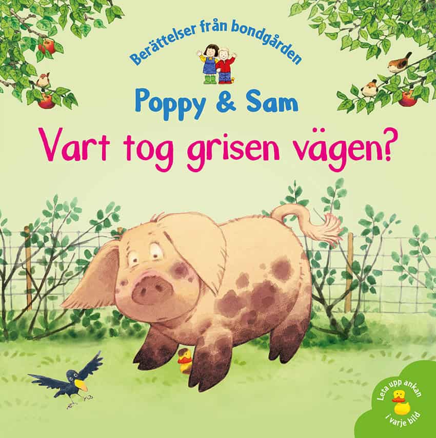 Amery, Heather ; Cartwright, Stephen : Vart tog grisen vägen?