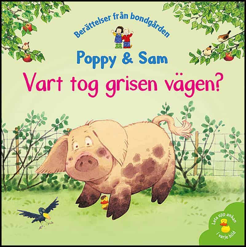 Amery, Heather ; Cartwright, Stephen : Vart tog grisen vägen?