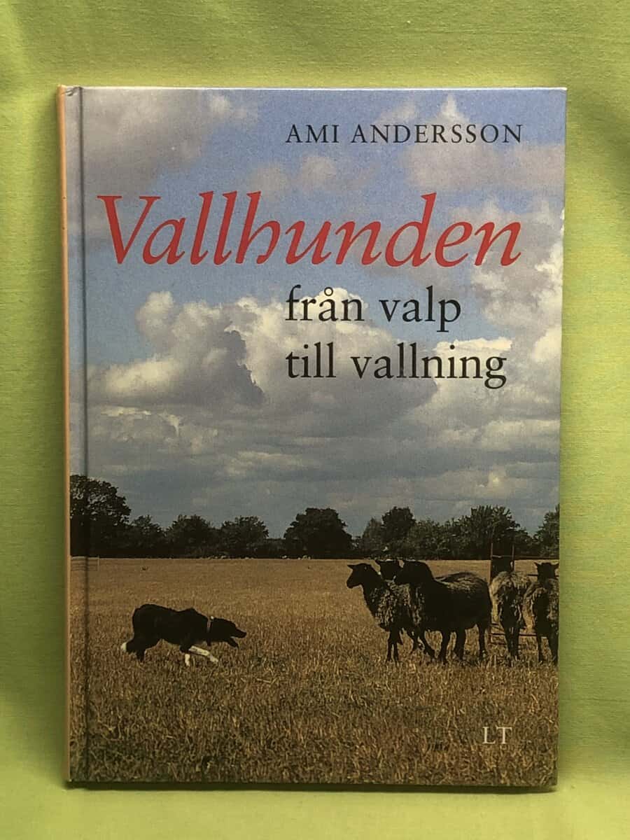 Ami Andersson : Vallhunden - från valp till vallning