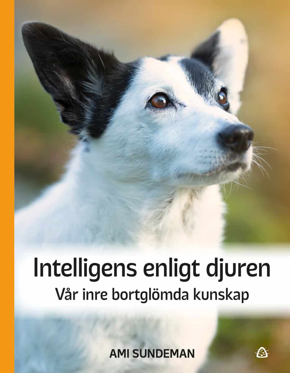 Ami Sundeman : Intelligens enligt djuren : vår inre bortglömda kunskap