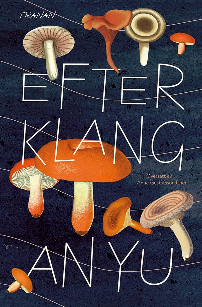 An Yu : Efterklang