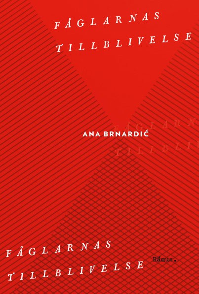 Ana Brnardic : Fåglarnas tillblivelse