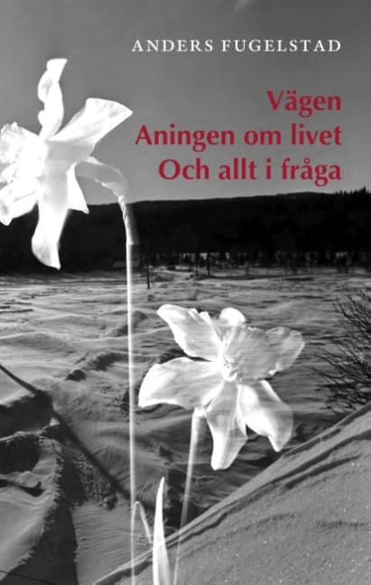 Anders Fugelstad : Vägen aningen om livet och allt i fråga