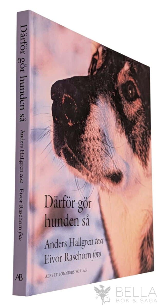 Anders Hallgren : Därför gör hunden så
