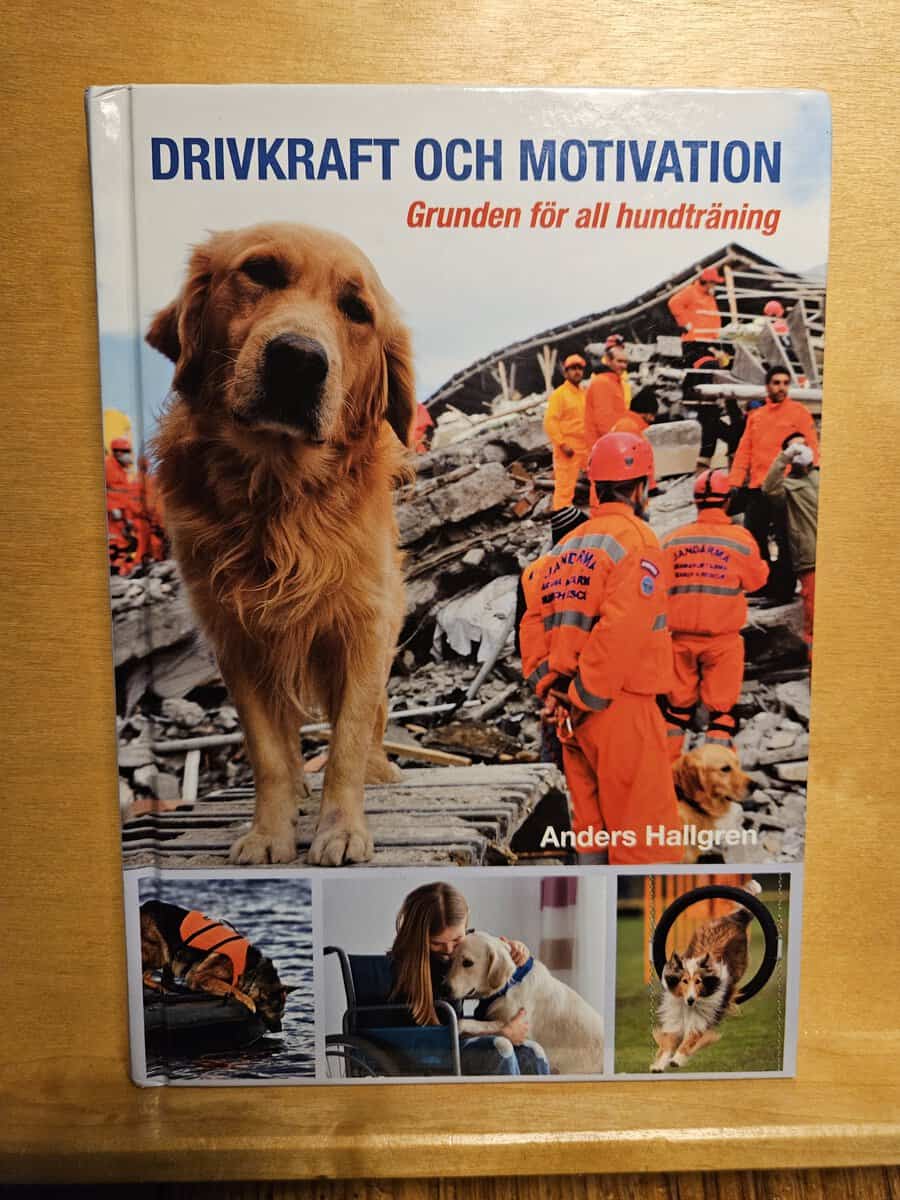 Anders Hallgren : Drivkraft och motivation