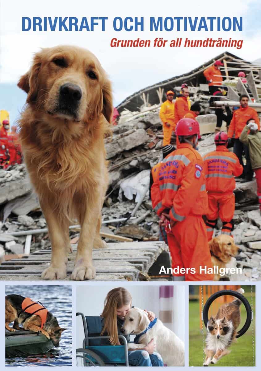 Anders Hallgren : Drivkraft och motivation : grunden för all hundträning