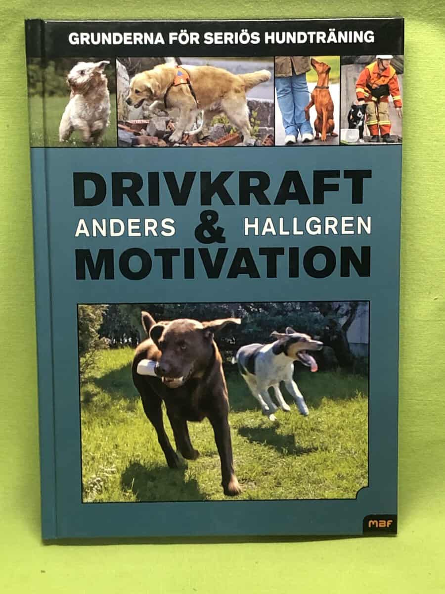Anders Hallgren : Drivkraft och motivation