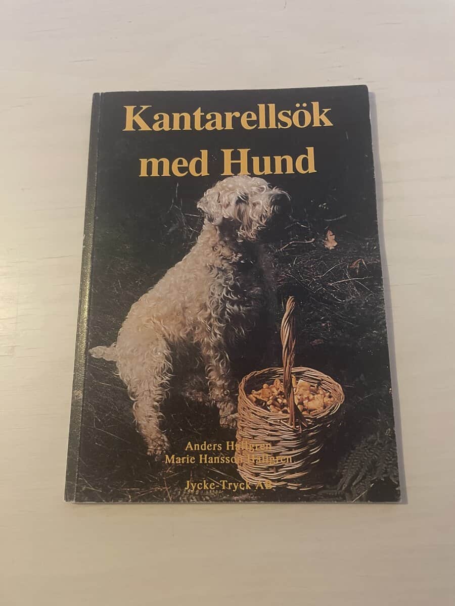 Anders Hallgren : Kantarellsök med hund