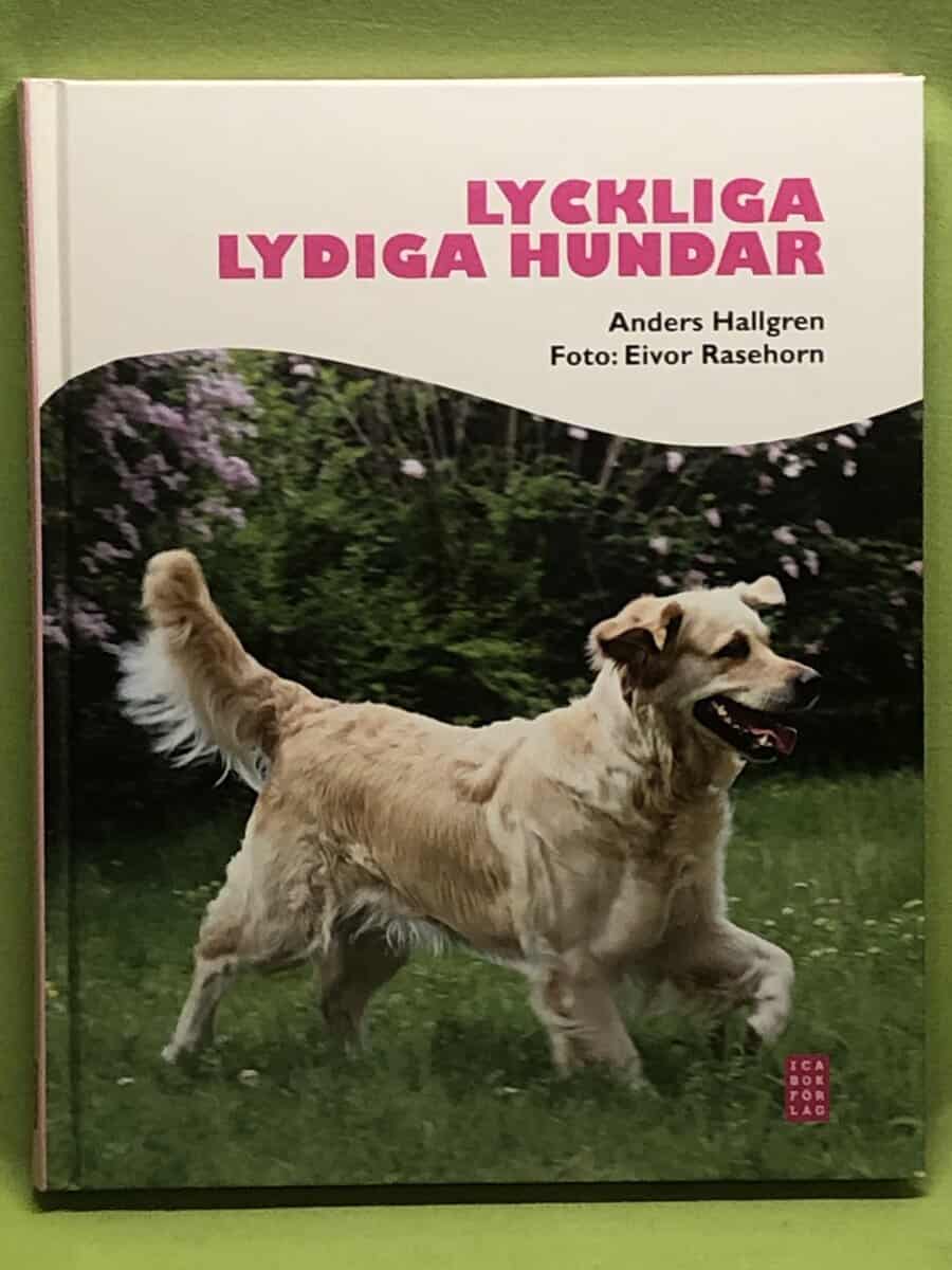 Anders Hallgren : Lyckliga lydiga hundar