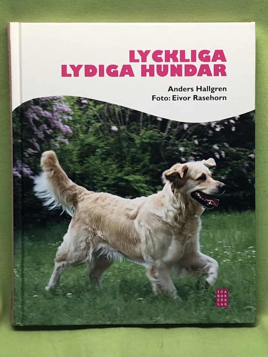 Anders Hallgren : Lyckliga lydiga hundar