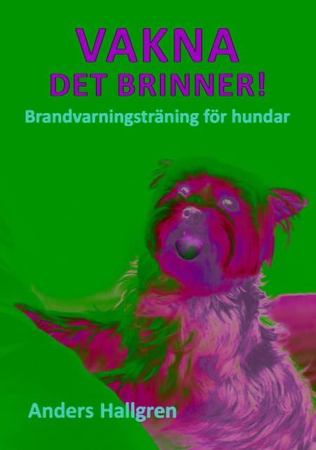 Anders Hallgren : Vakna det brinner! : brandvarningsträning för hundar