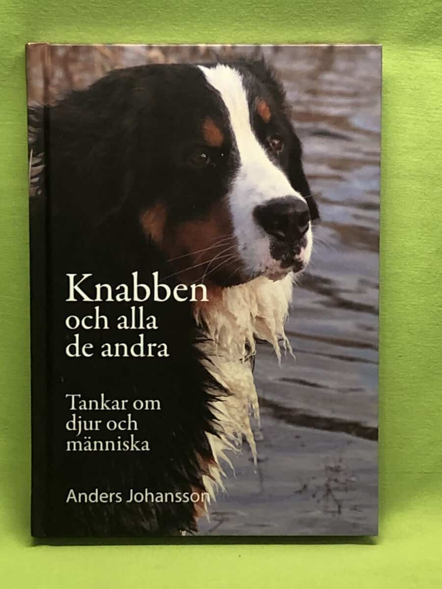 Anders Johansson : Knabben och alla de andra