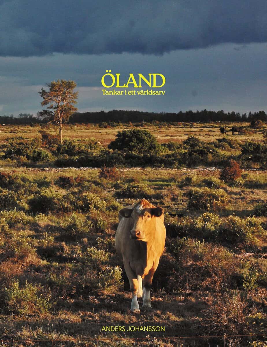 Anders Johansson : Öland, tankar i ett världsarv