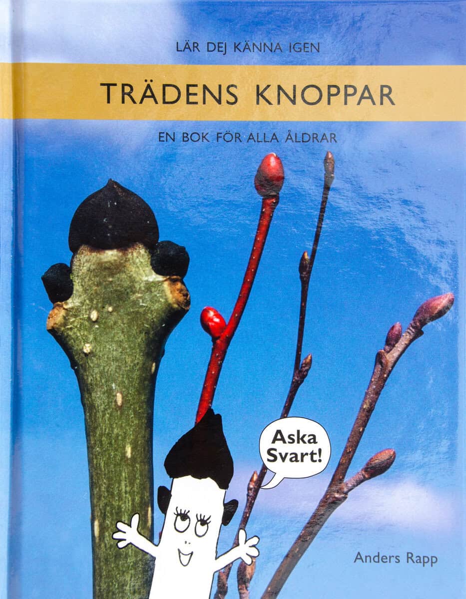 Anders Rapp : Lär dej känna igen trädens knoppar : en bok för alla åldrar