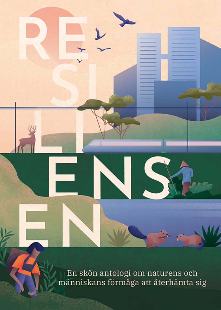 Andersson, Birk ; Dahl, Achillea ; Edsbagge Engström, Erik ; Eek, Otilia ; Ewald, Torun ; Finell, Lise-Lotte ; Jansson Ribbestål, Kajsa ; Kossila, Leena ; Landgren, Johan ; Nero, Anna ; Nygren, Anna ; Park, Kerstin ; Persson, Tina K ; Quevedo de Hansen, Beatriz ; Swanberg, Anna ; Thorgren, Petra ; Wall, Tora : Resiliensen