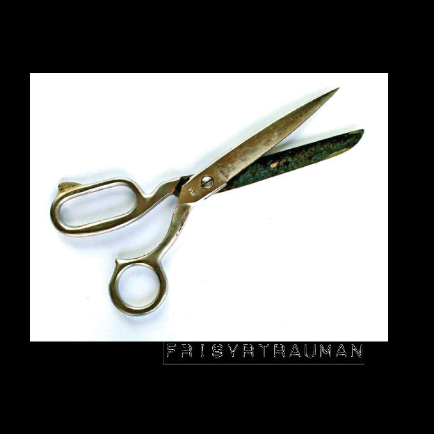 Andersson, Sara ; Melin, Ing-Britt ; Rosengren, Jeanette : Frisyrtrauman