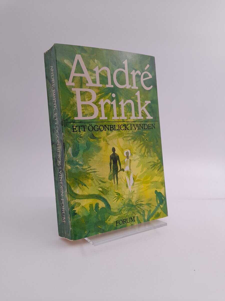 André Brink : Ett ögonblick i vinden
