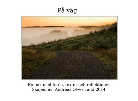 Andreas Olvestrand : På väg