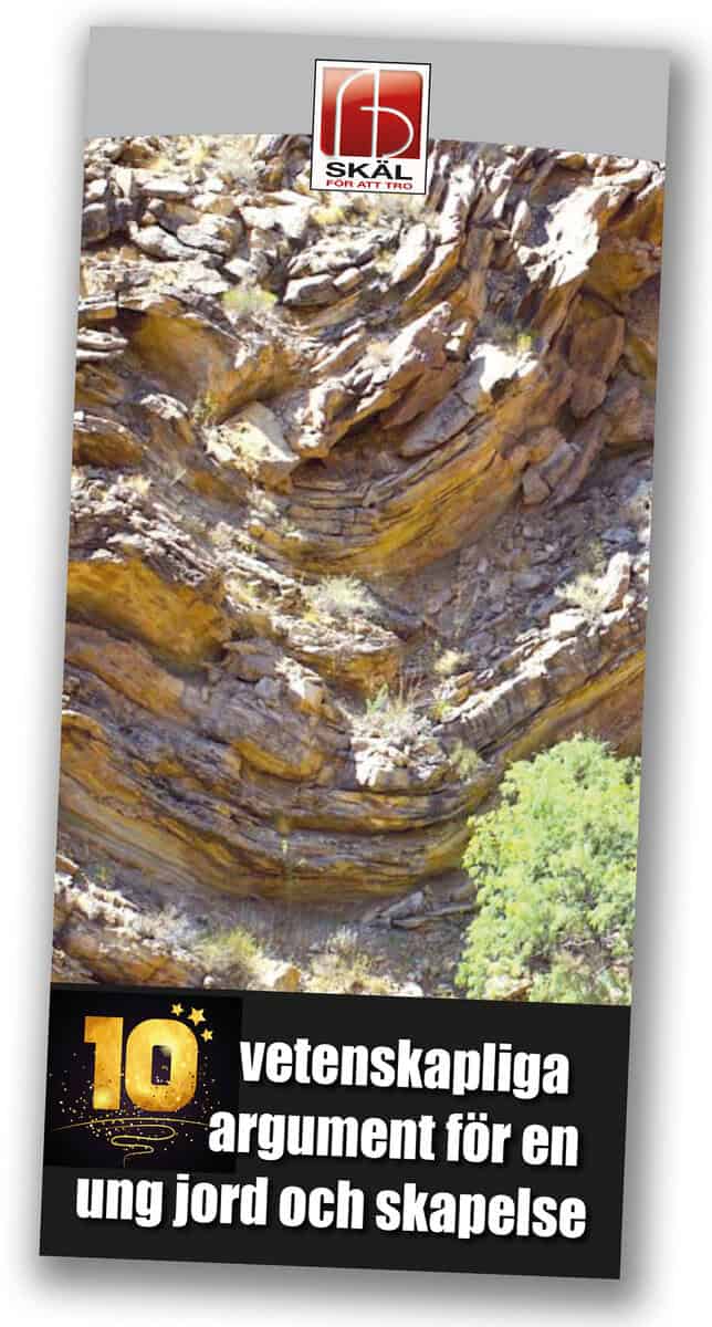 Snelling, Andrew A. ; Faulkner, Danny R. ; Purdom, Georgia ; Menton, David : 10 vetenskapliga argument för en ung jord och skapelse
