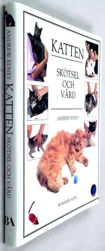Andrew Edney : Katten