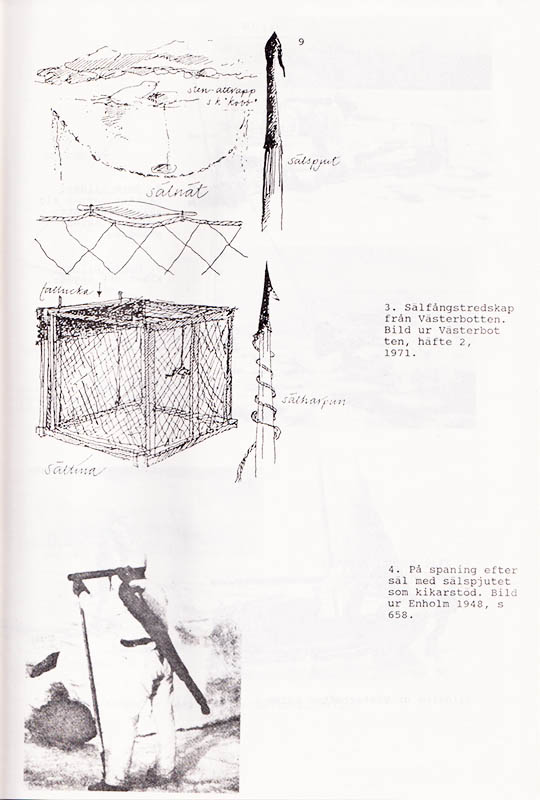 Anette Olsson : Sälspjutet. Beteckningar inom det bottniska området och Östersjön