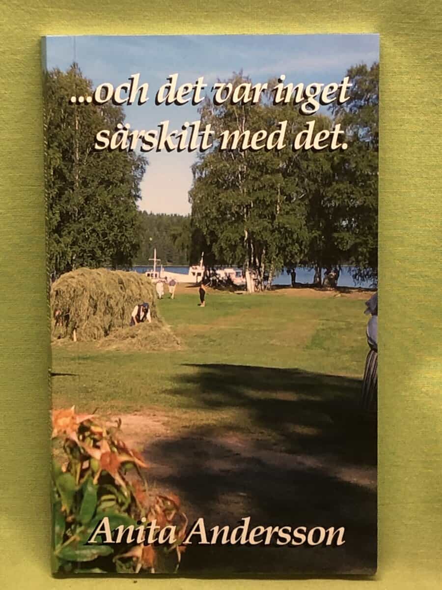 Anita Andersson : ...och det var inget särskilt med det.